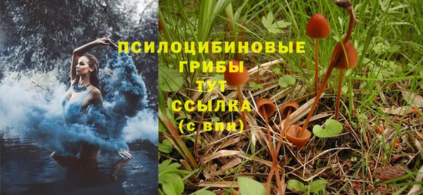 марки lsd Вязники