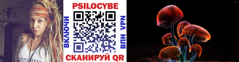 Галлюциногенные грибы Psilocybine cubensis  Купить где  Назарово 